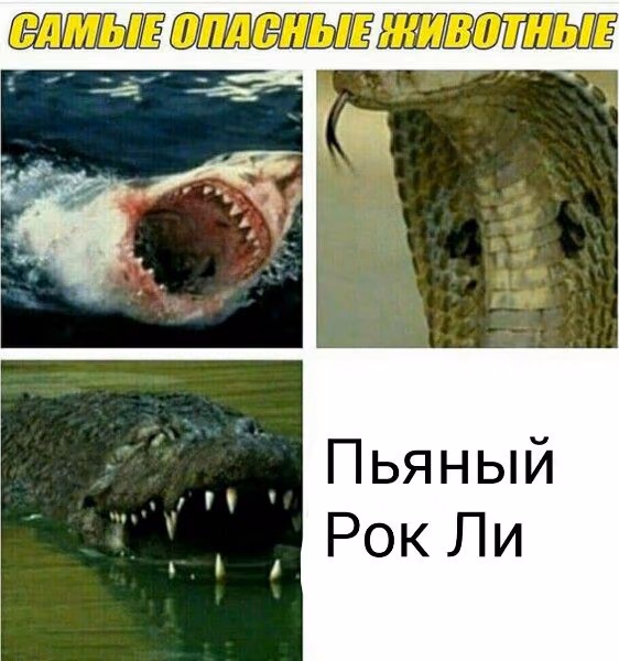 56489289eb79080fc7254cb7d74fa6fc.jpg