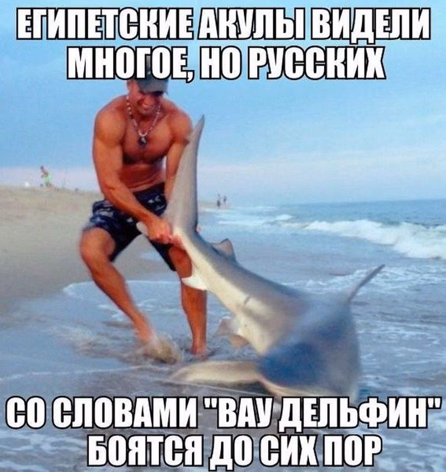 564e940449504bffb2cd123702b3d023.avif