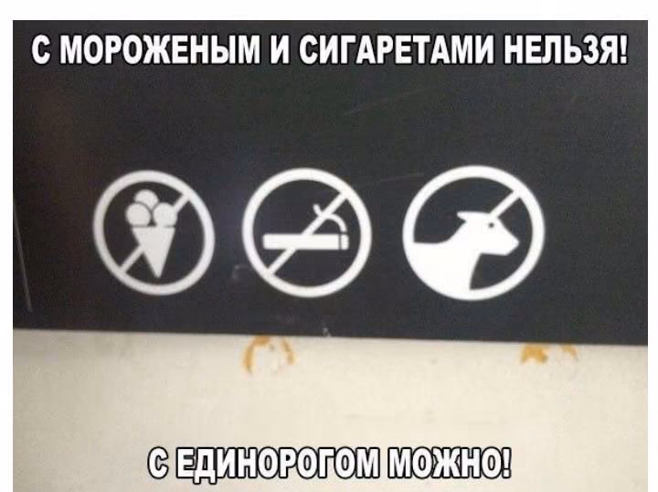 56684ca8057830c80dc4fa5f9ed2b615.avif
