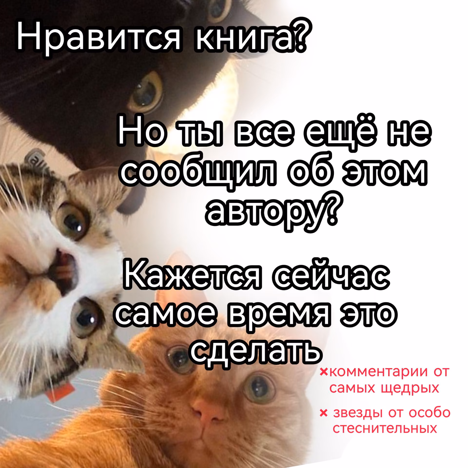 566d07fec1fbaedbca1c519ca56f4b73.avif