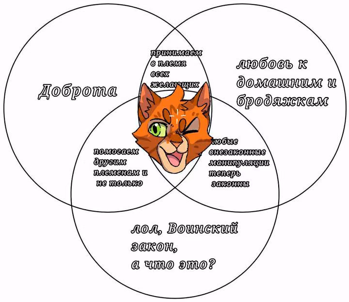 56998d432e9d10ff8e0af3fedeef23fd.avif