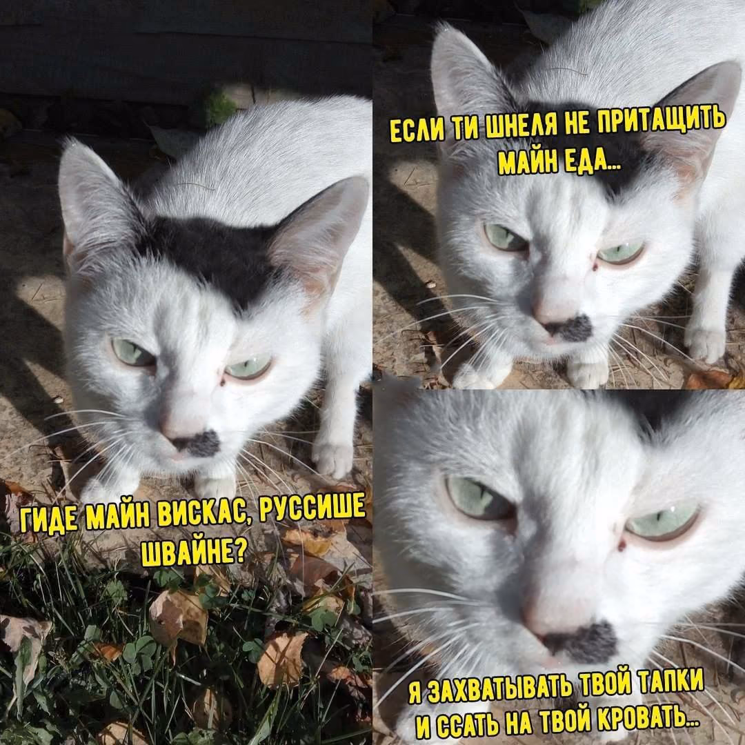 569c397cedcce0bd724ccf3044e7af43.jpg