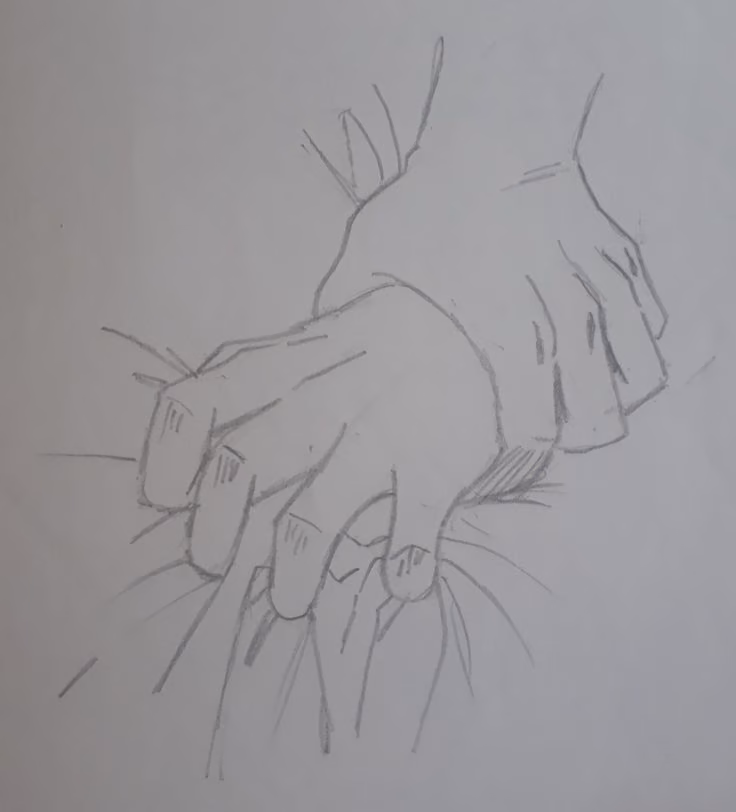 56aabcfb22e2944a6cf1a2ec31d557e6.jpg