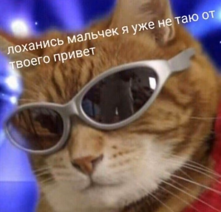 56b72bab20352e3d3963d1896df58462.jpg