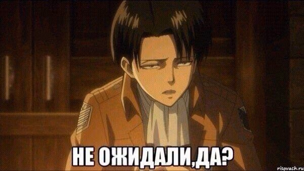 56bf2168f61fd14a85aa279bad2f2a5a.avif