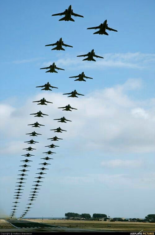 56cc80be8b035bf721bbb0e264fc609d.avif