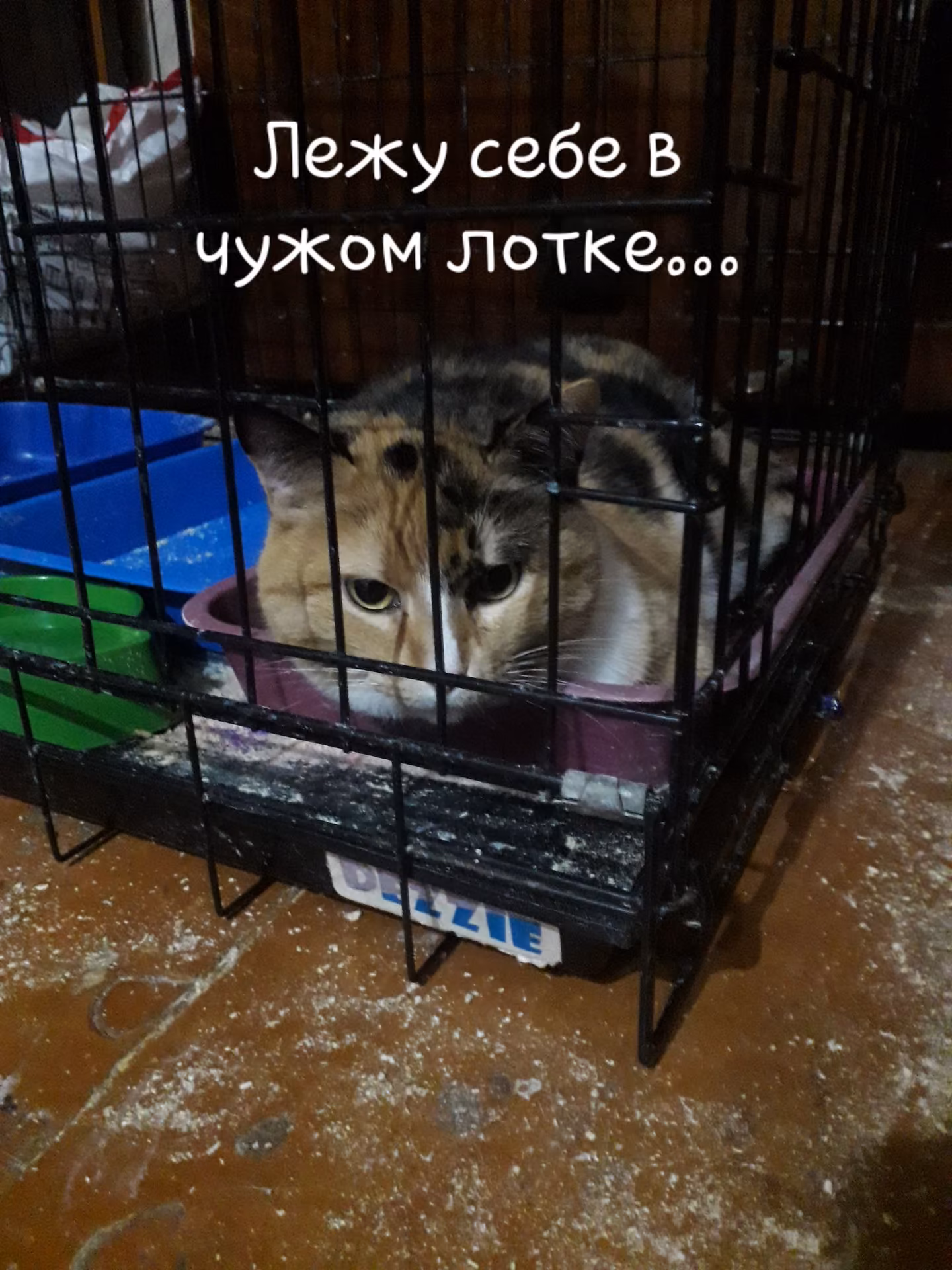 56d0447c51fd15663f160c55bdd6732e.avif