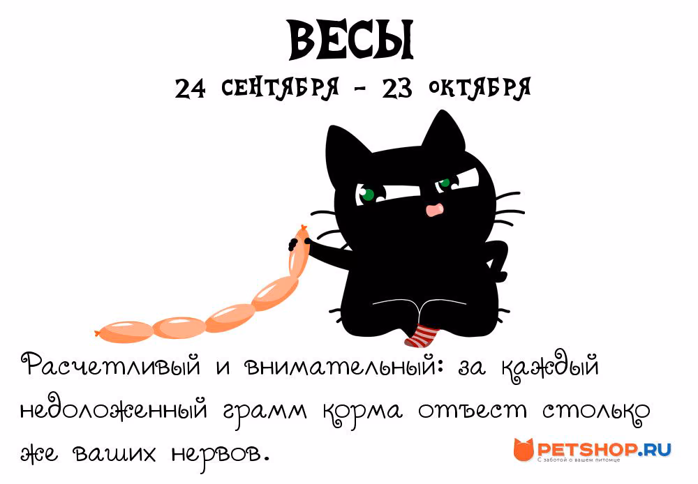 56eb867eebdce99a4335347e93d58d0e.avif