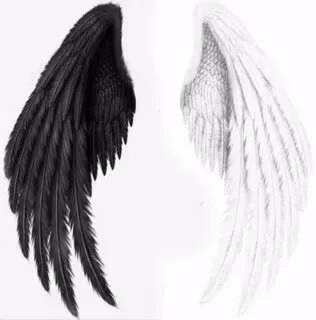 57036c0ddc850aca867e73adabad2cdd.avif