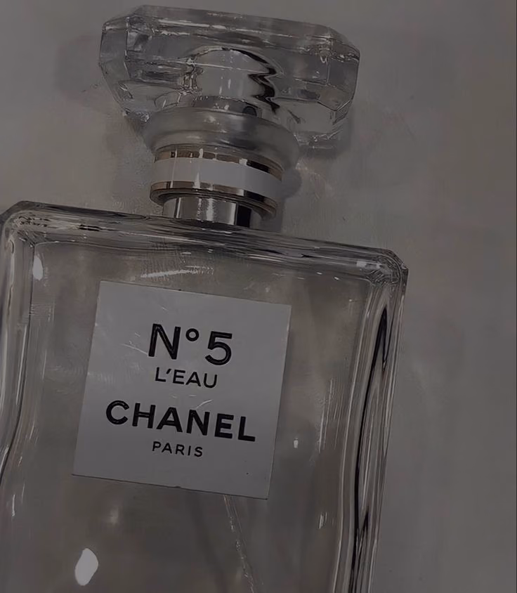 570a42ccd8de5d442570cffebac3d8a8.avif