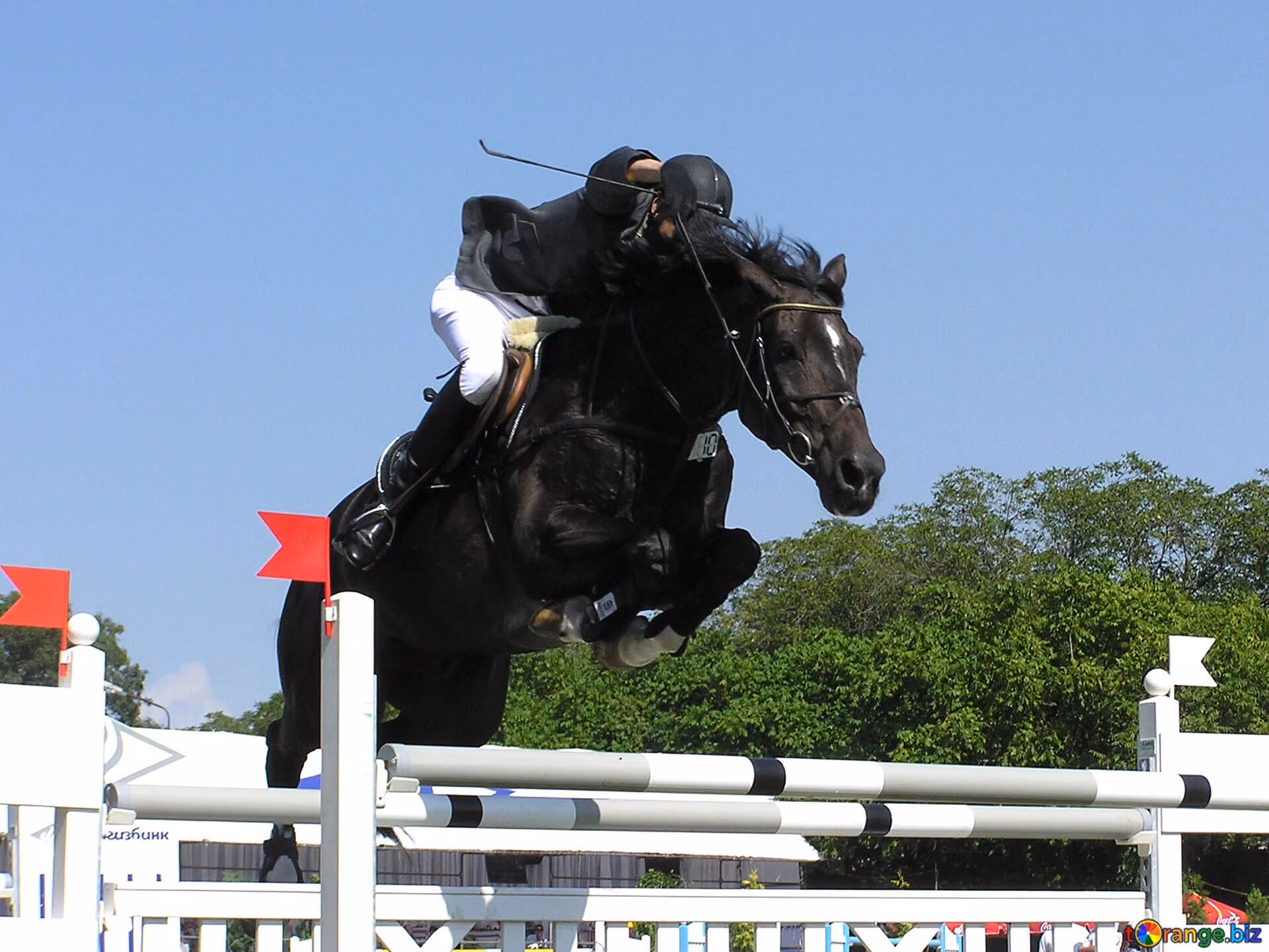 5712188247a638d50b3b4168de9bba35.avif