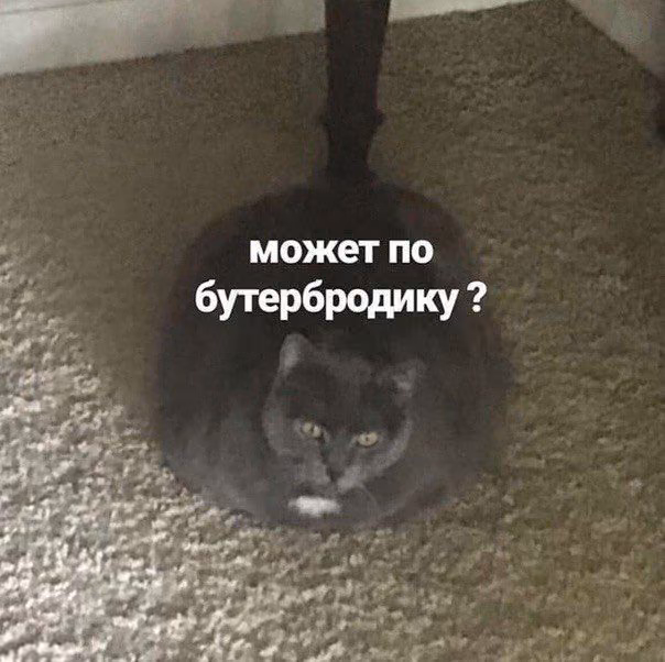 3332807df4c63f47f671240b7fb32ef1.jpg