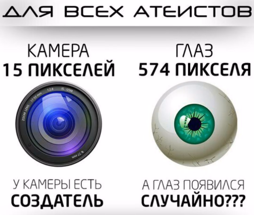 572ac3c80203b107b4c622a0869cb2c0.avif