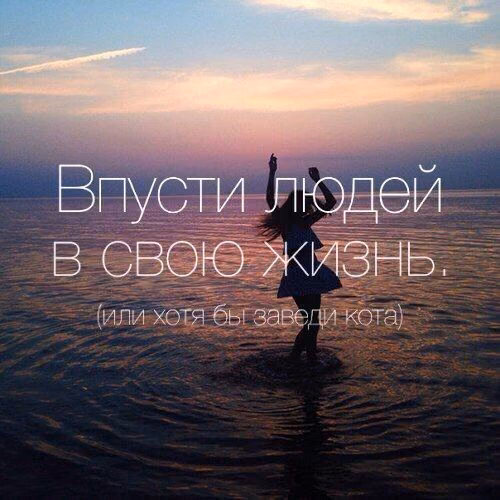 5730979bf051544cfdf2b9baff940dda.jpg