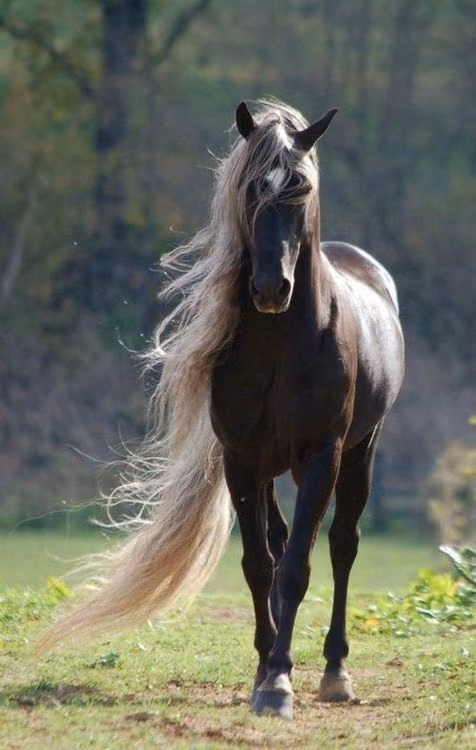 5732c3c9443ce5a32259065e30efee9c.jpg