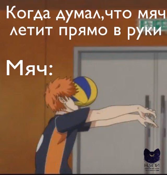 573586529a85e756454bb2b0aa726062.avif