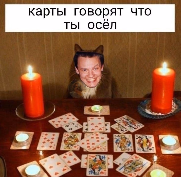 576184782e149064eff09cf755b2489c.avif
