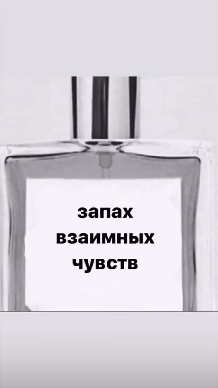57838716d73abf1aa92eb0cf6c72a969.jpg