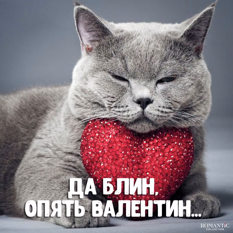 5793d9ece84c0c1035d906b5cee42840.avif