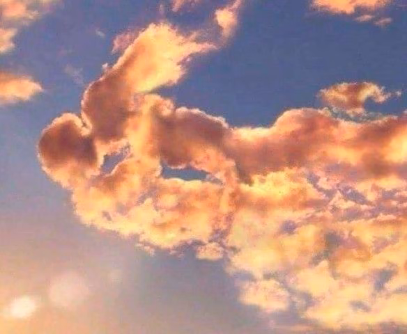 579aa20a0f26920f8a9595e97208133d.avif