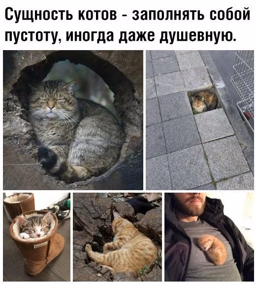57a28f8ef6d3aab0e6ce77ba395c7085.avif