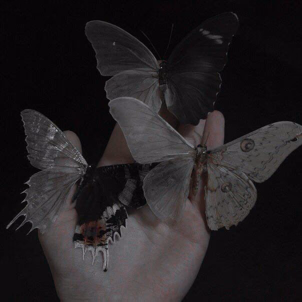 57cf714f367c04168154fd4ce6625c07.avif