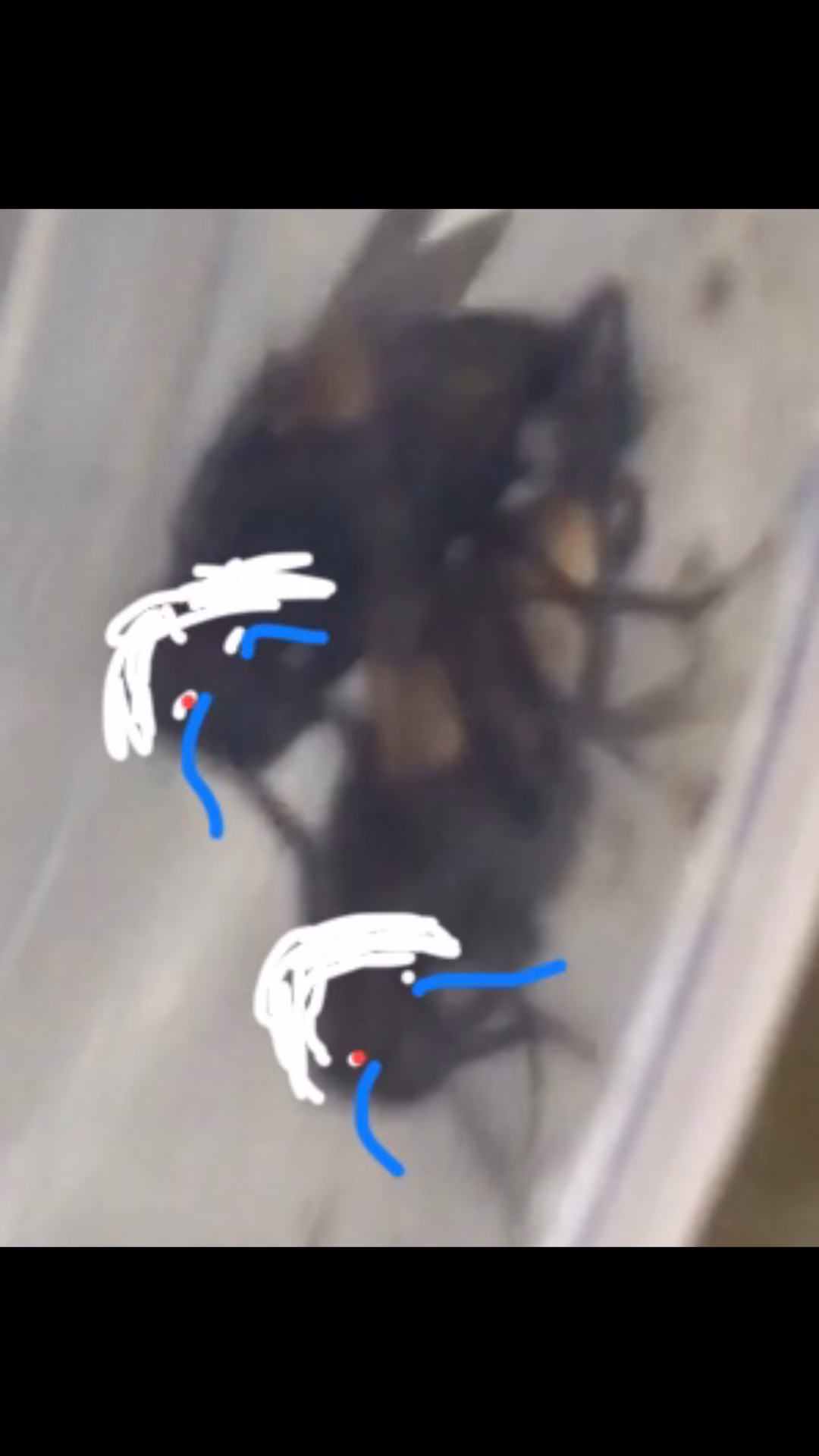57d0033b8654fae790ab1d2a064a4128.avif