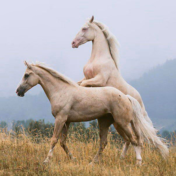 57e160c8a5ad0f88a4e5f9dc74d3fc53.avif