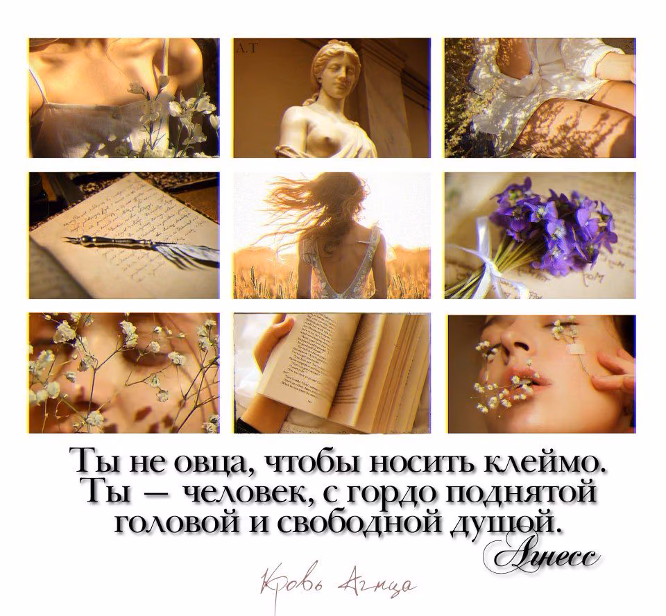 57ee3a260c3ca573fc732241cb9bef46.avif