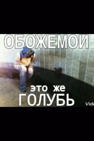 57f0b3ab00ac1a2056eb431986603198.jpg