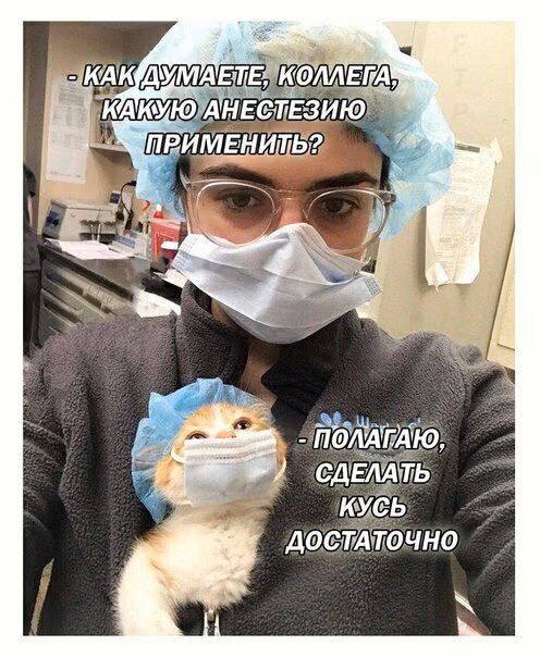 58174bbb3883ad5053794a92063ae2f6.avif