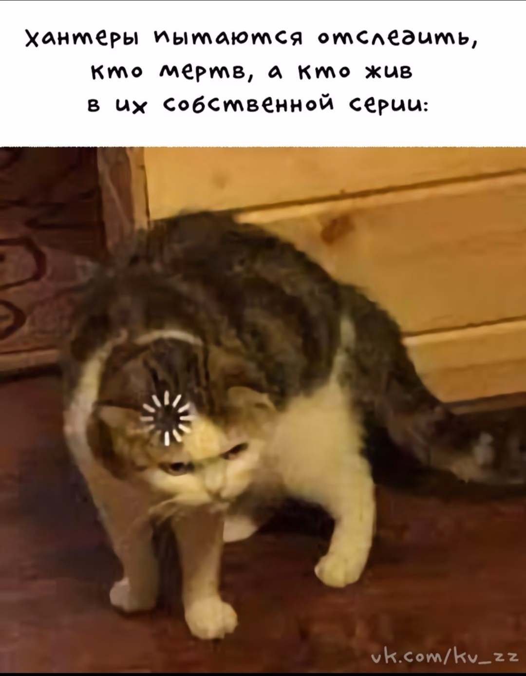 581c6187da38f6dd5ab66f63697e8701.avif