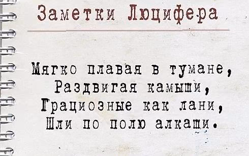 58219f6b53290ca0a34342f3ac48aa78.avif