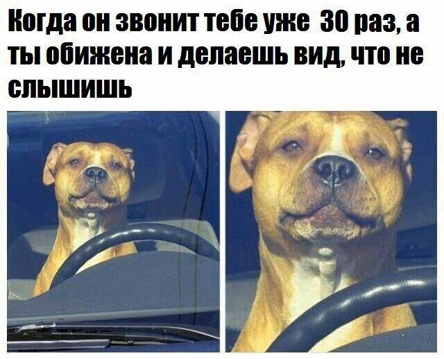 5823de67765ba461e0d13e137742efe0.jpg