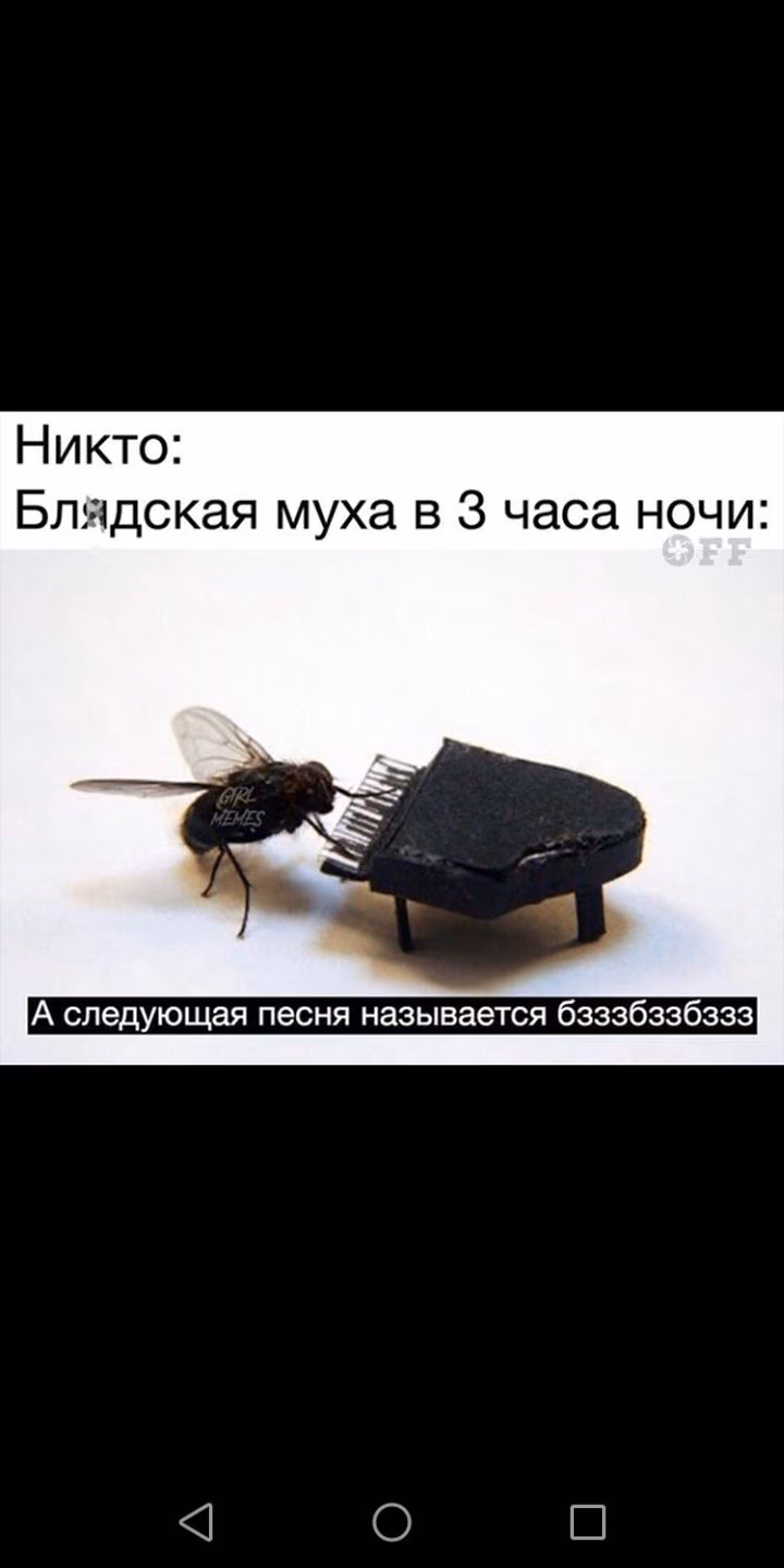 5824b9dd81b1b9505b56eab5c40caae6.jpg