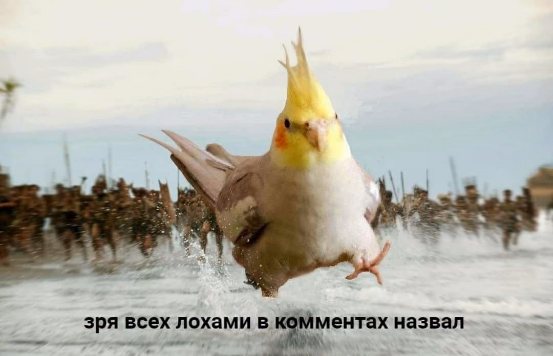 5835c9f10ade0fb20dafb8b9c689df0f.jpg