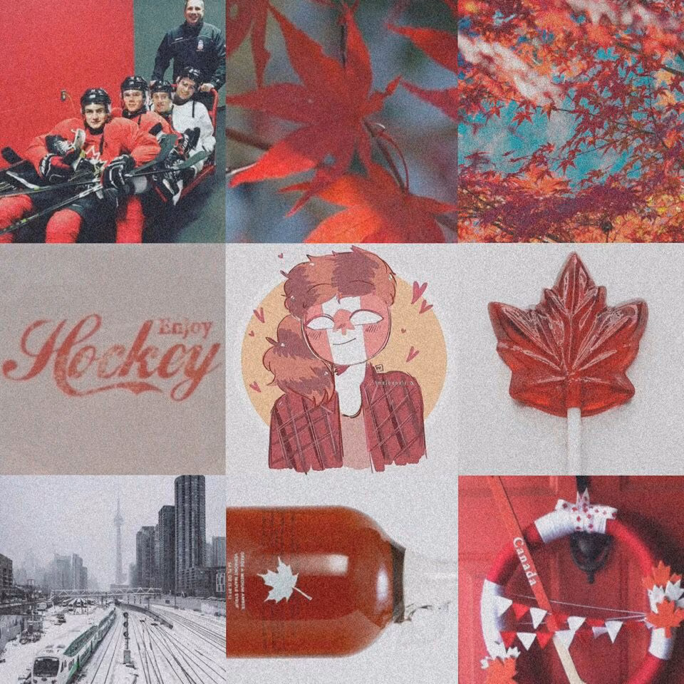 58384e1cea7881f5c18bf5282b11bbc7.avif