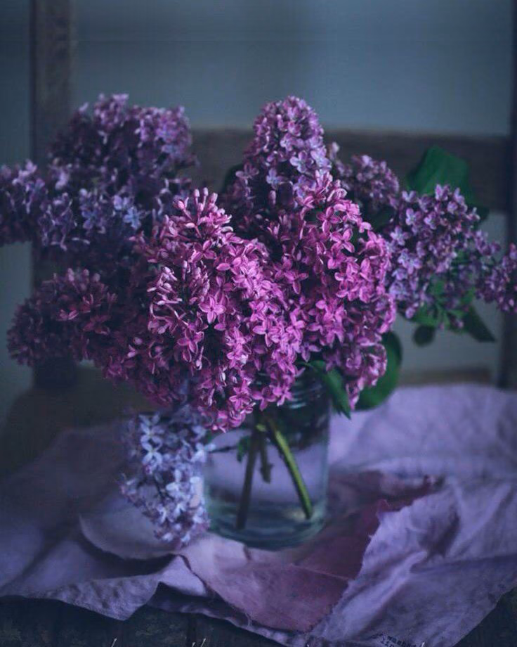 5840f5f7b58350c2f9e6828c2fe6fd77.avif