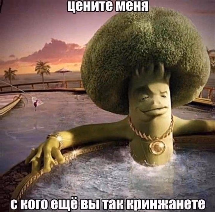 585c43e73a7f1fd90606d8041d7df2f0.jpg
