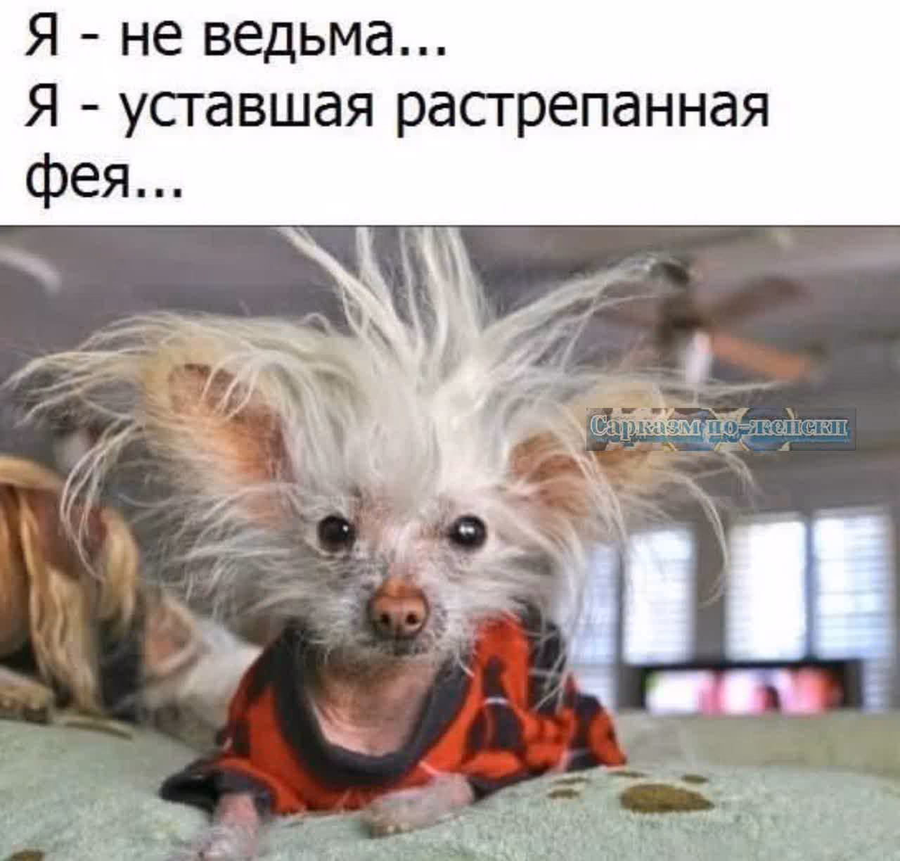 58640478919fa8417e0913cf8cb4d263.avif