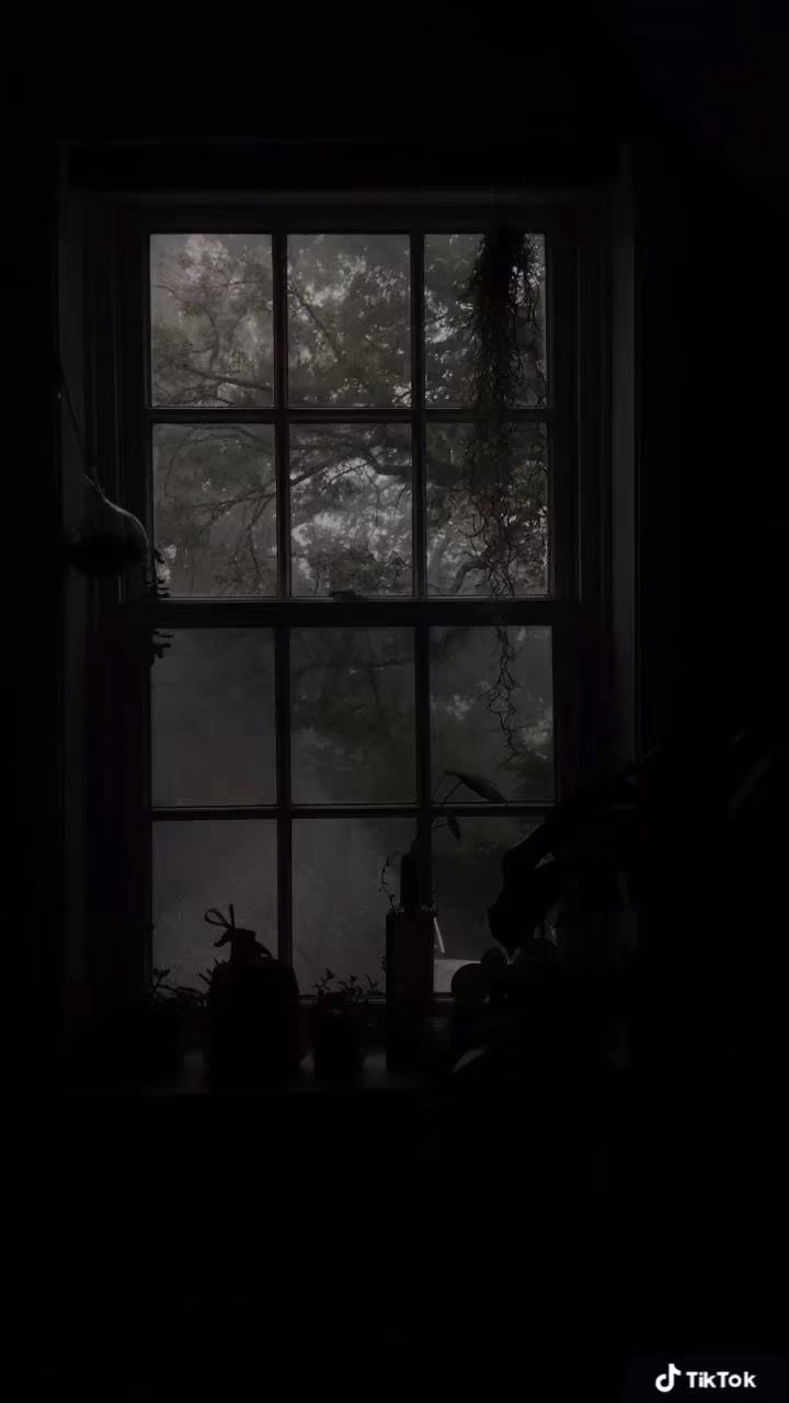 58710bec35f5cb634666e159975434af.jpg