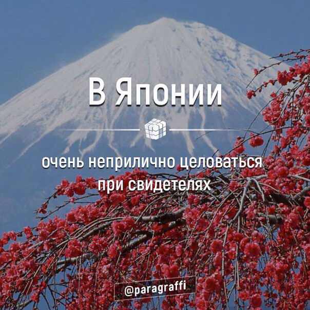 587bea60d4762e5c0872fb186e131844.avif