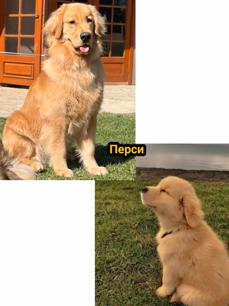 587e09d56eb30c00c88b832a021a1d8c.jpg