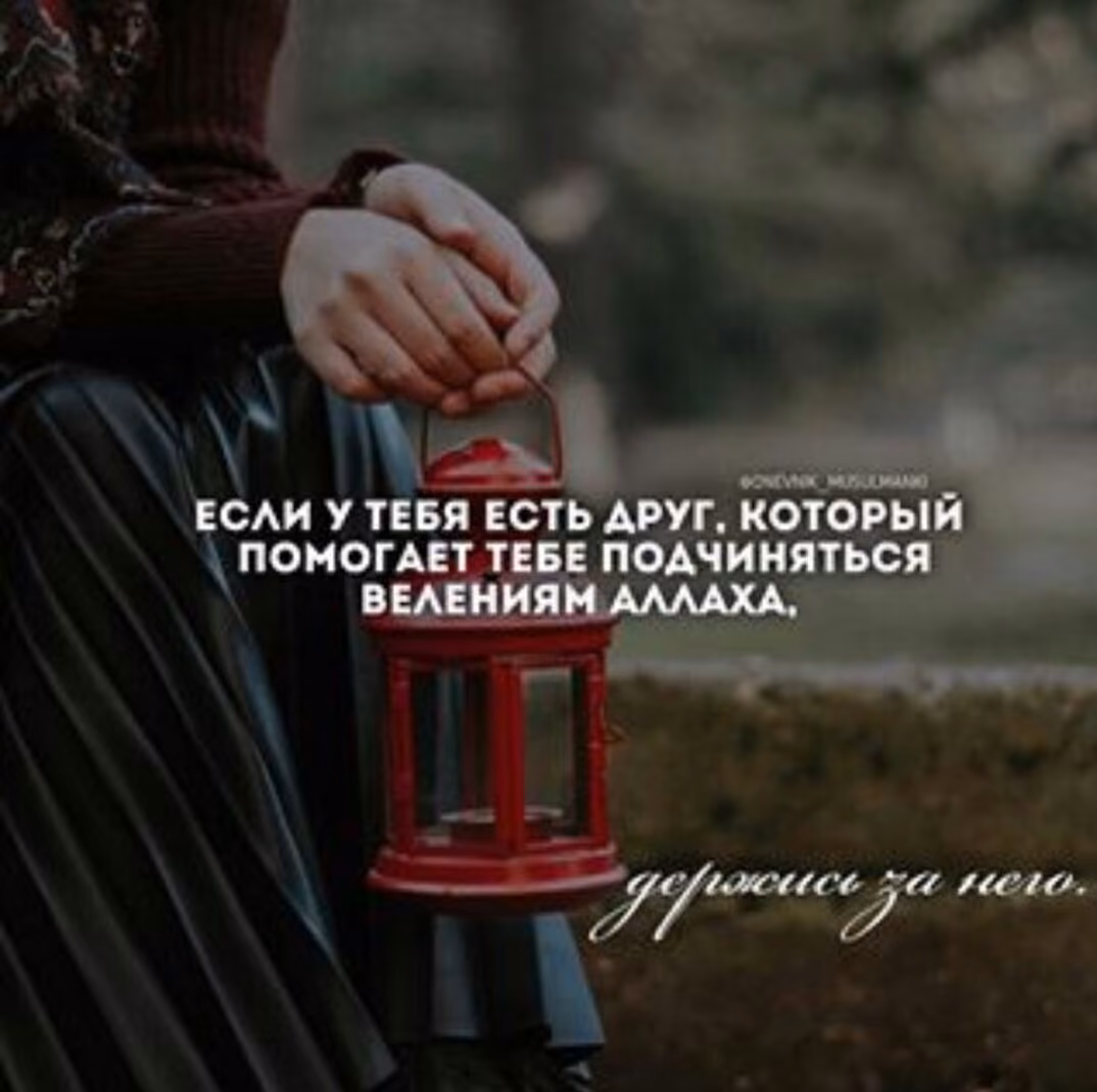 588e5eada8ab33f9e114dc02ca73d04b.jpg