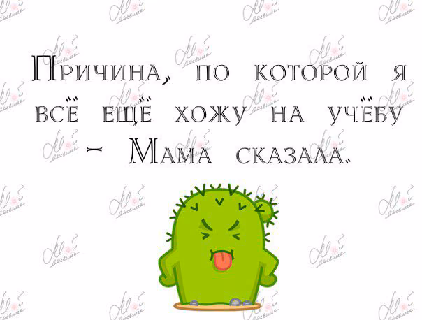 589f761323405e93765c9c0da197c408.jpg