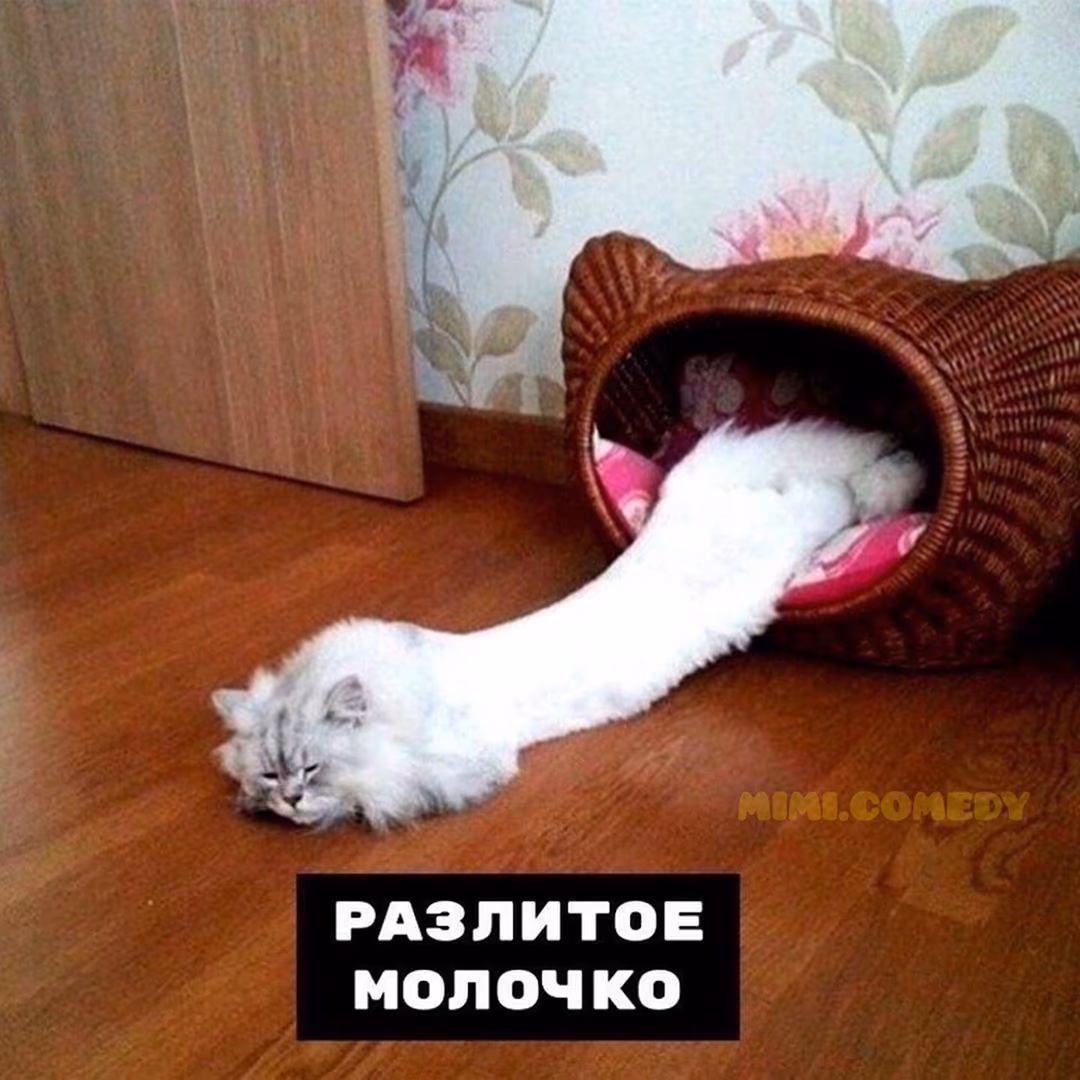 58a9e028733677f124af201c4cbe494d.jpg
