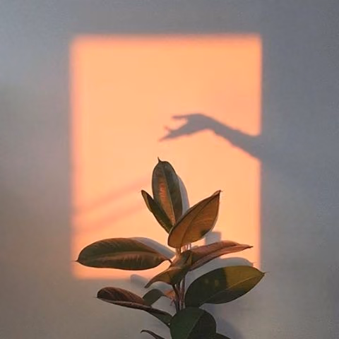 58b13703c2c4b49babd94010fb16dd80.jpg