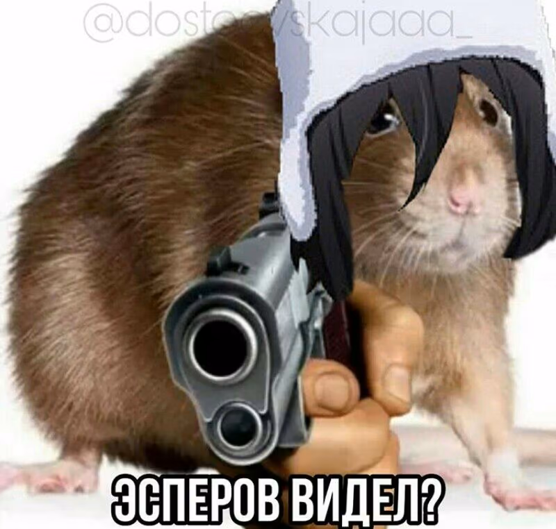 58ba8ad5416607c25be500b6ececfa9b.jpg