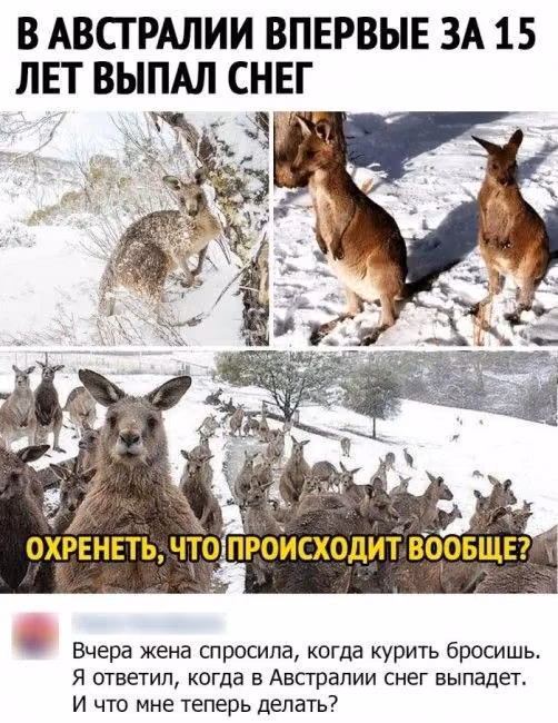 58bca636ae41d218b2c80a6e8579475f.jpg