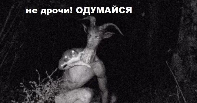 58c936ec3681c499e660673c67071a16.jpg